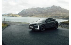 Zwarte DS4 in natuur